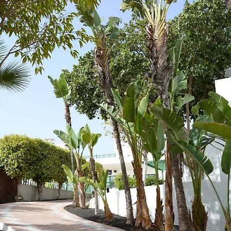 Thb Royal Hotel